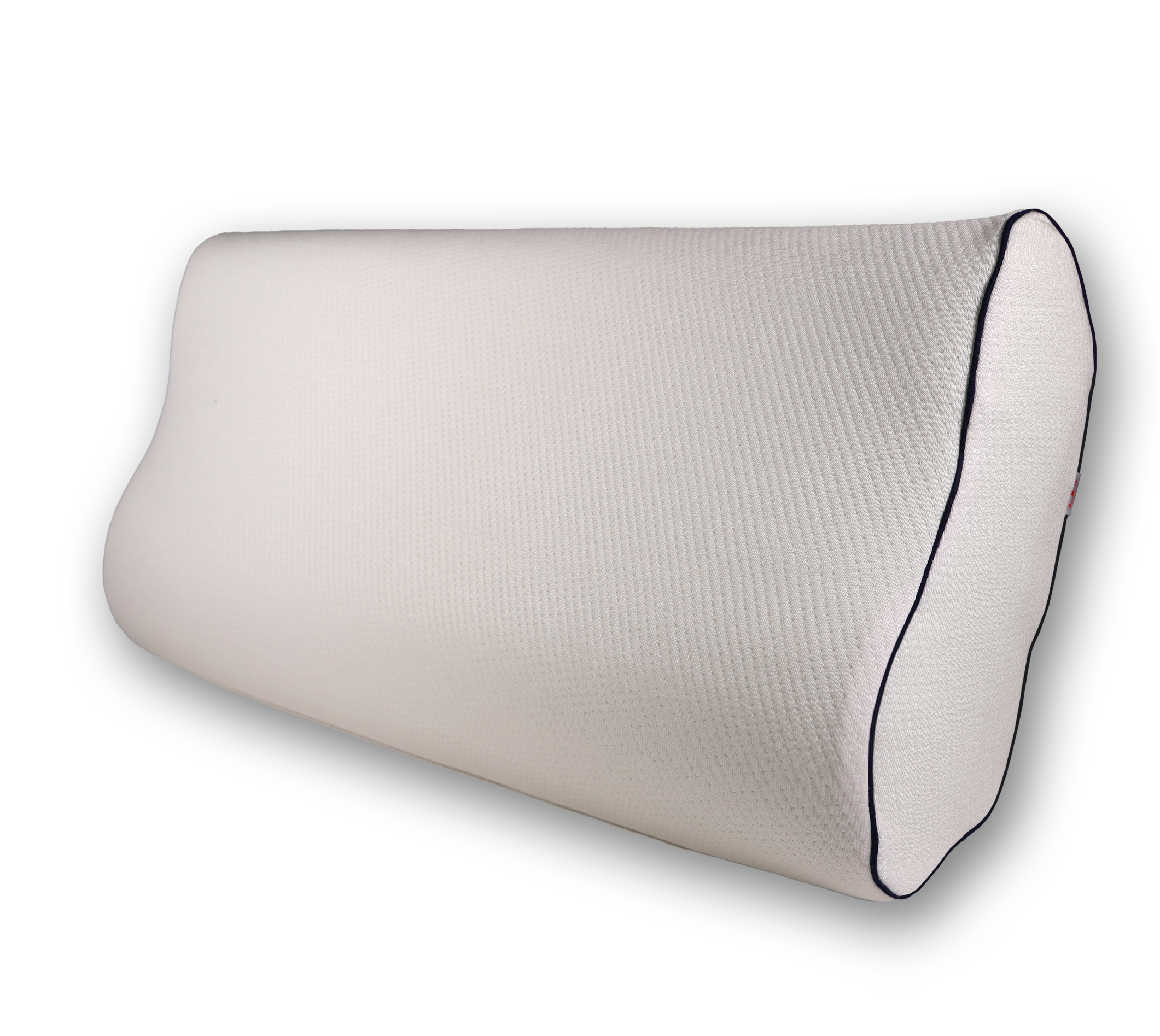 antar-at03026-orthop-disches-kissen-30x60x12-15-cm-mit-rizinus-l image 1