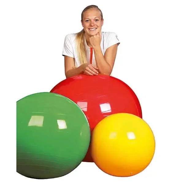 servocare-physio-therapieb-lle-therapieb-lle-f-r-spiel-und-training image 1