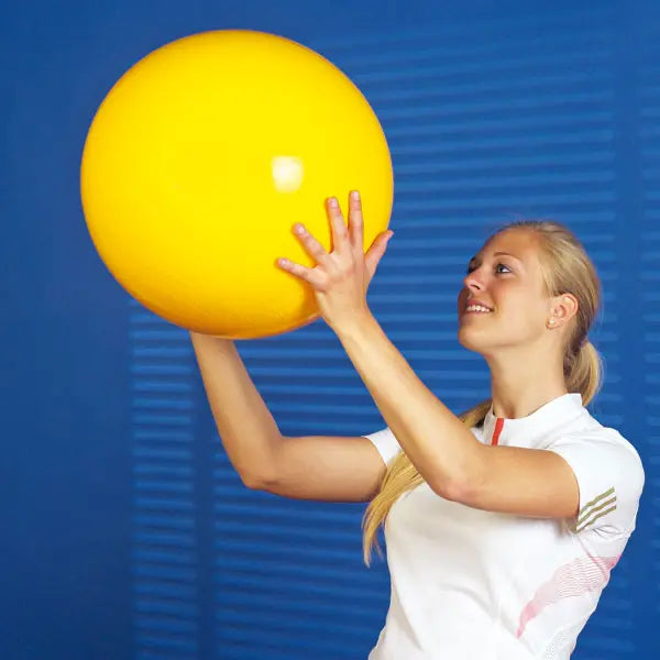 servocare-sit-n-gym-sitzball-mit-haltenoppen image 1