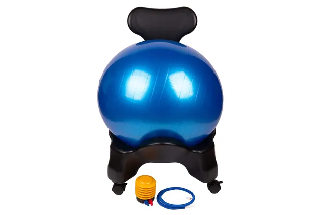antar-at51416-rehabilitationsball-mit-st-nder image 1